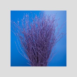 берёза краш + блёстки серебряные