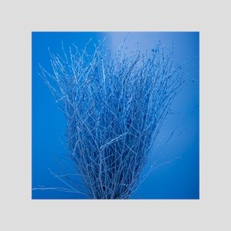 берёза краш + блёстки синие