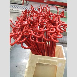 драцена бамбук красный