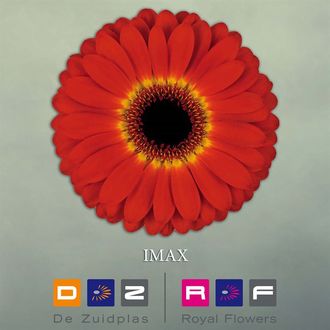 гербера Imax FFP