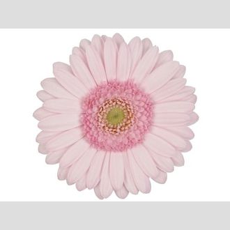 гермини Bridal Kimsey