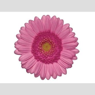 гермини Kimsey