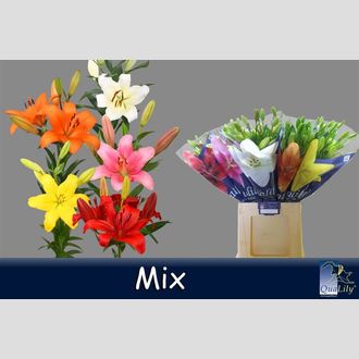лилия La MIX