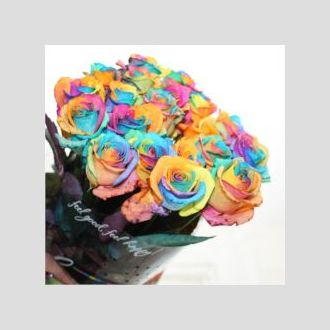 роза Dyed Rainbow