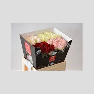 роза MIX in Bucket