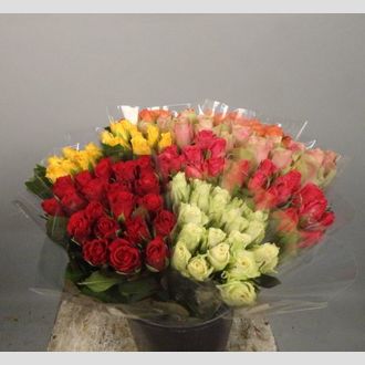 роза MIX Sleeved