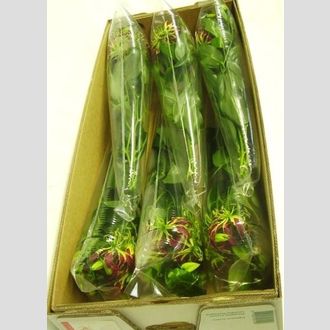 глориоза (lang)