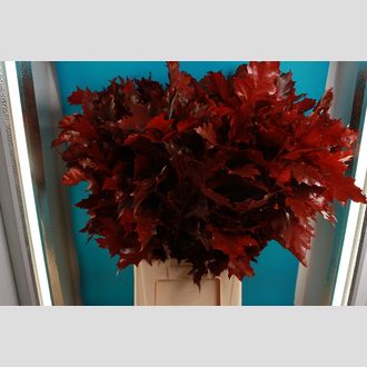 дуб крашенный красный