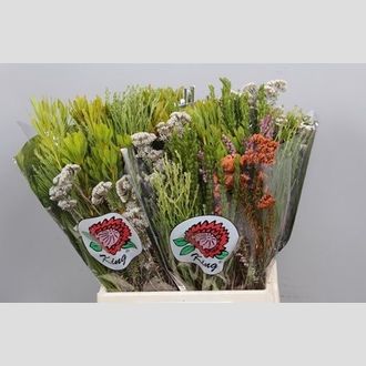 букет сафари