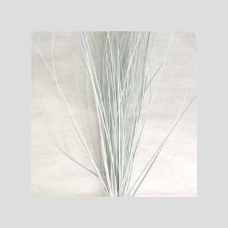 берграсс белый