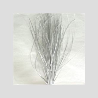 берграсс серебряный