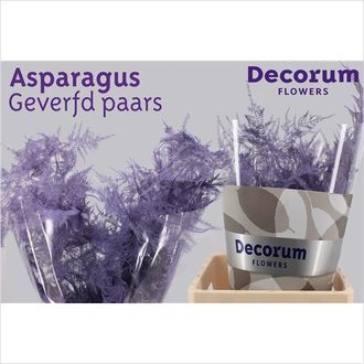 аспарагус крашеный микс