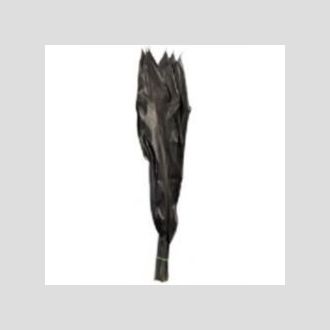 кордилина чёрный