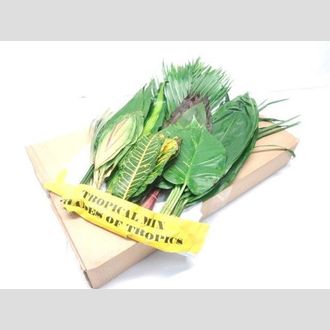 листья микс