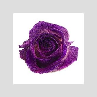 роза Avalanche+ Purple Crystal Look