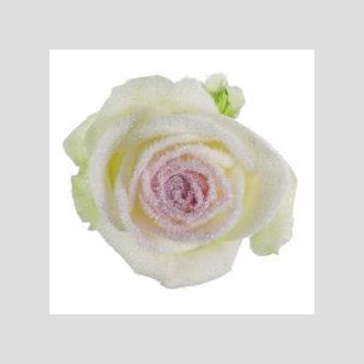 роза Avalanche+ Red Snowy Mountain Look