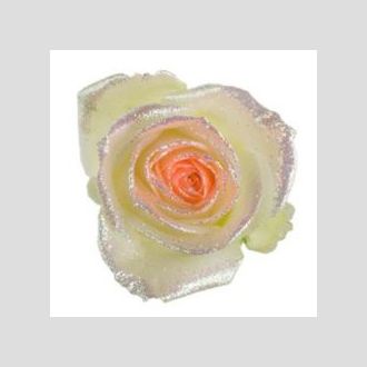 роза Avalanche+Orange Bling Bling Look