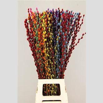 саликс микс