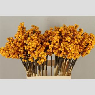 стикер ягоды жёлт