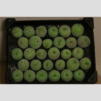 яблоко в парафине с сахаром зелёное