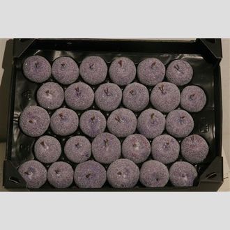 яблоко в парафине с сахаром фиолет