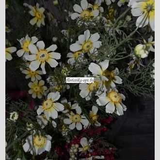 Анемоны искусственные