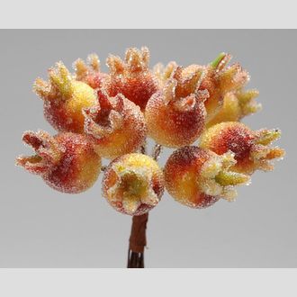 Код QXL6316 Боярышник 11 см, уп-12шт, оранжевый