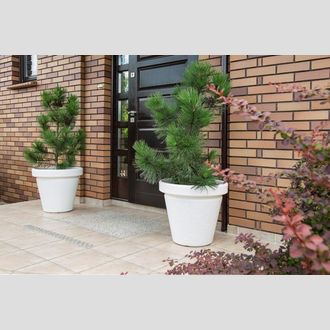 Ваза (пластик) Lamela Agawa Dluto