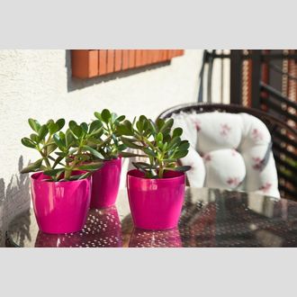 Ваза (пластик) Lamela Магнолия