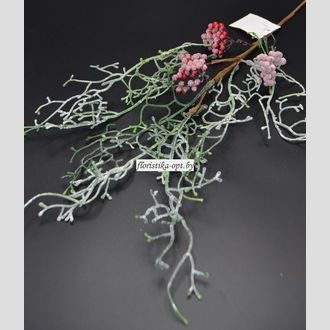 Ветка боярышника заснеженная