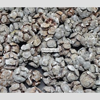 Шишки кипарисовые с напылением